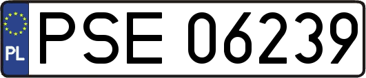 PSE06239
