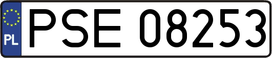 PSE08253