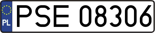 PSE08306