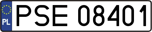 PSE08401