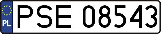 PSE08543