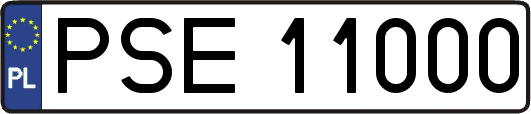 PSE11000
