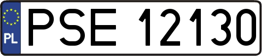 PSE12130