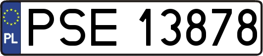 PSE13878