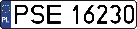 PSE16230