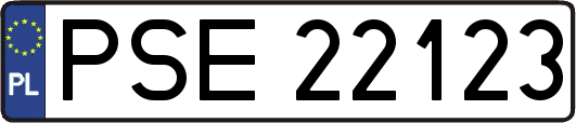 PSE22123