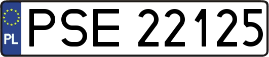 PSE22125