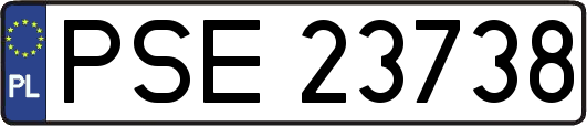 PSE23738
