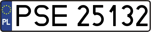 PSE25132