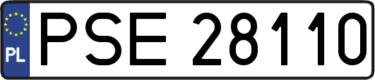 PSE28110