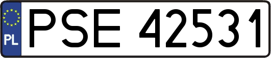 PSE42531