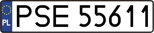 PSE55611