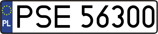 PSE56300