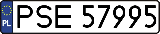 PSE57995
