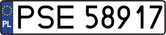PSE58917