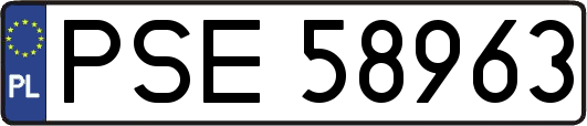 PSE58963