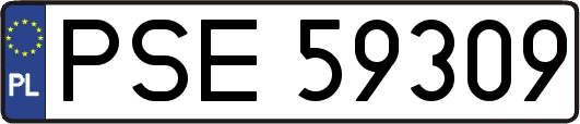 PSE59309