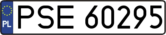 PSE60295