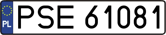 PSE61081