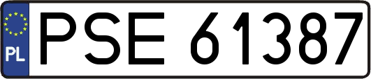 PSE61387