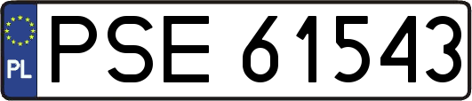 PSE61543