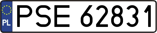 PSE62831