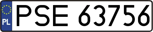PSE63756