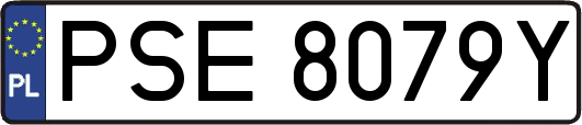 PSE8079Y