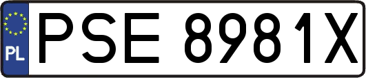 PSE8981X