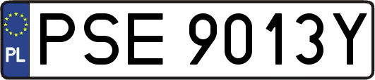 PSE9013Y