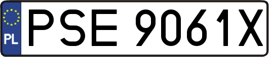 PSE9061X