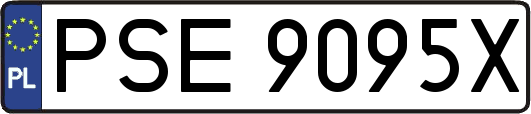PSE9095X