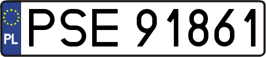 PSE91861