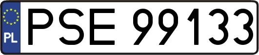 PSE99133