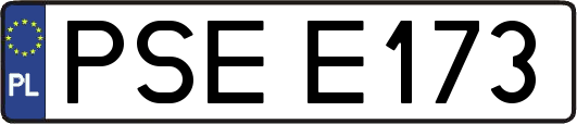 PSEE173