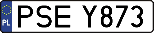 PSEY873