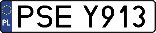 PSEY913