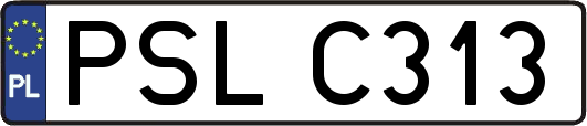 PSLC313