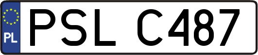 PSLC487