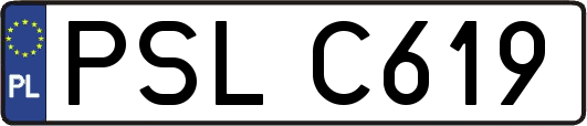 PSLC619