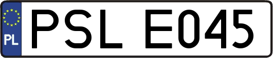 PSLE045