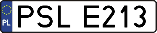 PSLE213