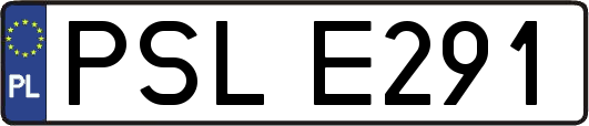 PSLE291