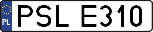 PSLE310