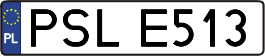 PSLE513