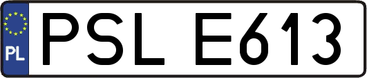 PSLE613