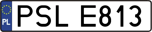 PSLE813