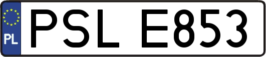 PSLE853
