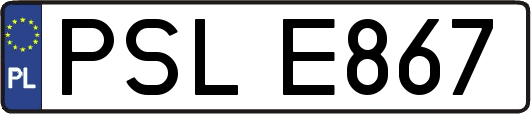 PSLE867