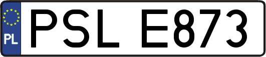 PSLE873